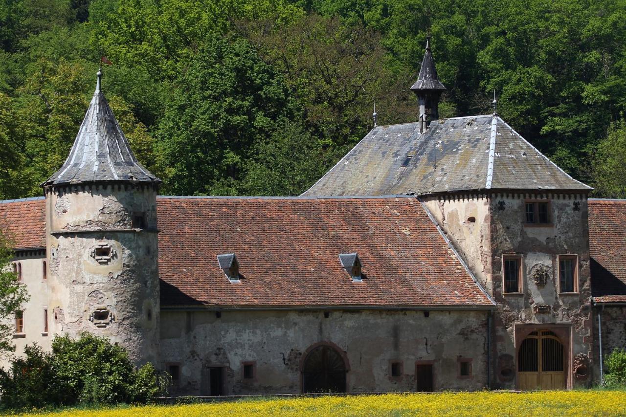 Aux Souvenirs D'Anaelle Gites 5 Personnes Sainte-Marie-aux-Mines Exterior photo